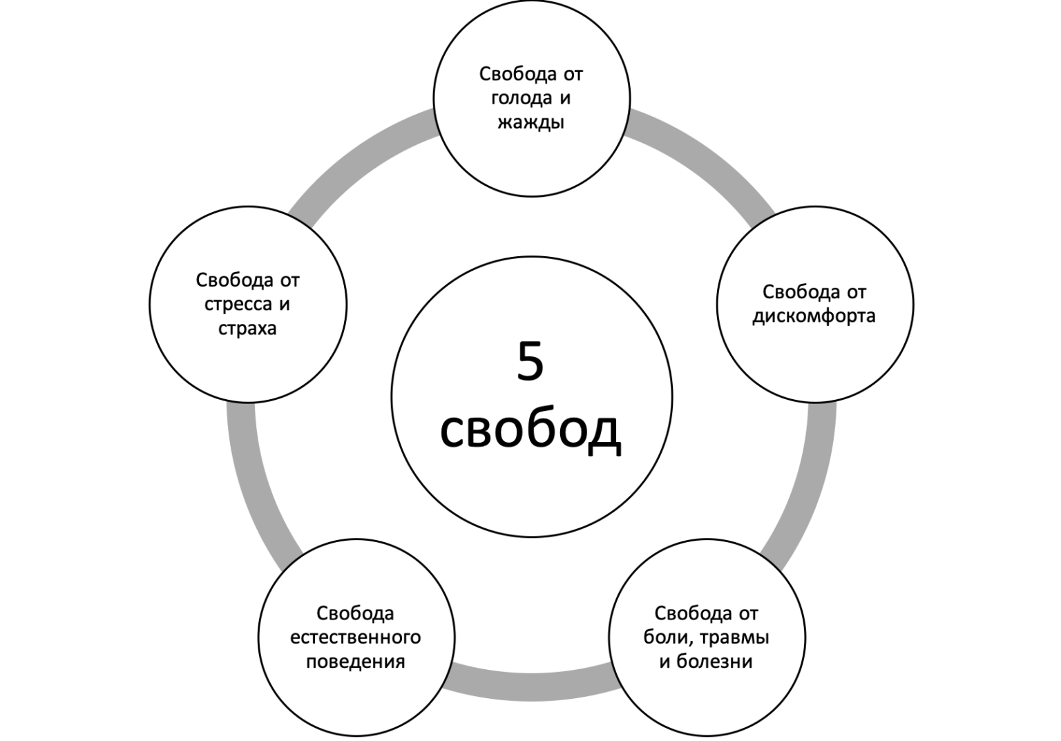 Пять свобод. 5 Свобод животных. Концепция пяти свобод животных. 5 Свобод собаки. Принцип пяти свобод.